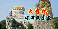 大黄爽片中国浙江-绍兴大香林旅游风景区